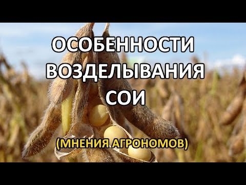 Видео: Особенности возделывания сои (Посев и норма высева, инокулянт, удобрение и уборка сои)