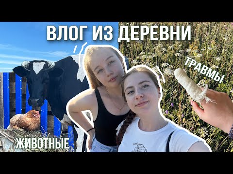 Видео: ВЛОГ ИЗ ДЕРЕВНИ / уехали в деревню,чтобы отдохнуть от городской суеты