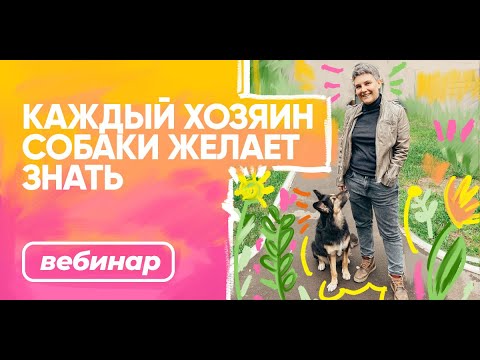 Видео: Бесплатный вебинар БО.big «Каждый хозяин собаки желает знать»