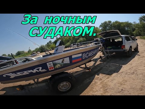 Видео: Рыбалка на спиннинг за ночным судаком.