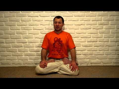 Видео: Ситали