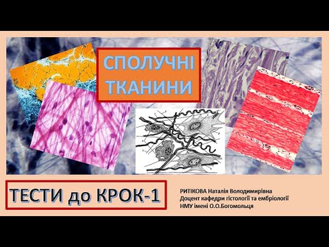 Видео: Крок-1_ Тести_  Сполучна тканина