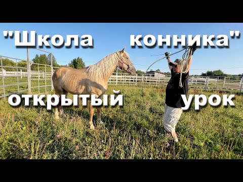 Видео: Тренинг "Школа конника" открытый урок, новые покупочки антиквариата и про "малышей".