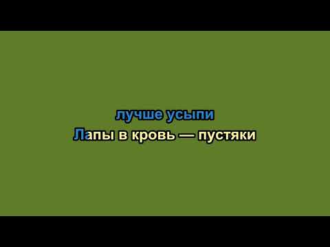 Видео: Noize MC — порвав поводок [Караоке версия]