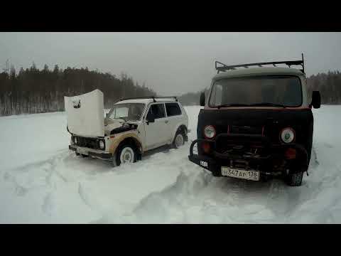 Видео: ГЛУХОЗИМЬЕ В МАРТЕ ЭТО РЕАЛЬНО!