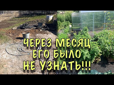 Видео: ВСЕ ЛЮДИ СМЕЯЛИСЬ над нашим МАЛЕНЬКИМ ОГОРОДОМ! Теперь ВСЕ ХОТЯТ себе ТАКОЙ ЖЕ! DIY