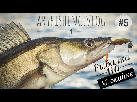 Видео: Осенняя рыбалка на Можайском вдхр. Часть 1. Artfishing.Vlog #5