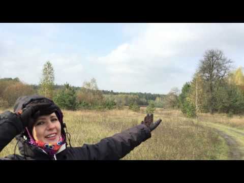 Видео: ЯСНОЗІР'Я 1. Лісовий острів