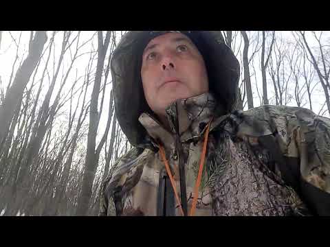 Видео: За трюфели при -8 в сняг - For truffles at -8 in the snow