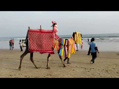 Видео: Джаганнатха пури