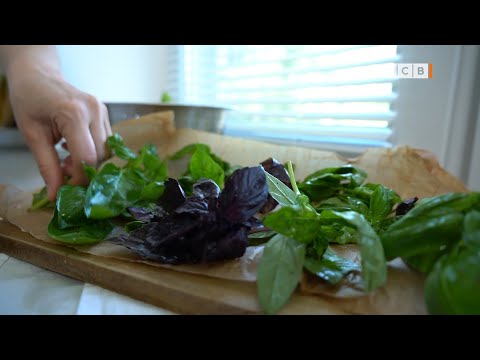 Видео: Как сушить базилик на зиму