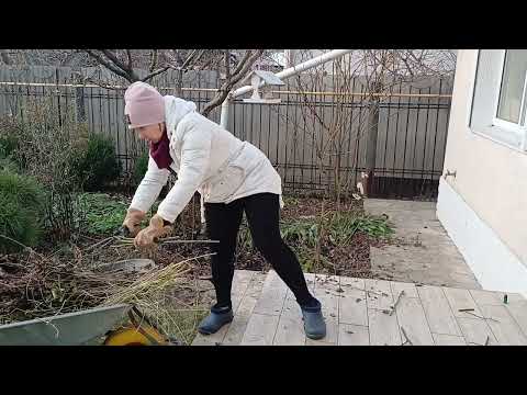 Видео: Клумба БУКЕТЫ РЕНУАРА  готовится к весеннему сезону!