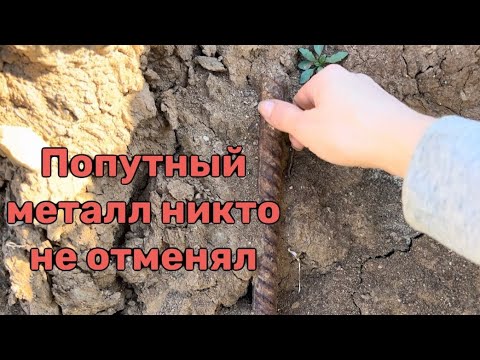 Видео: Металл и другие находки пополняли багажник по дороге на дачу