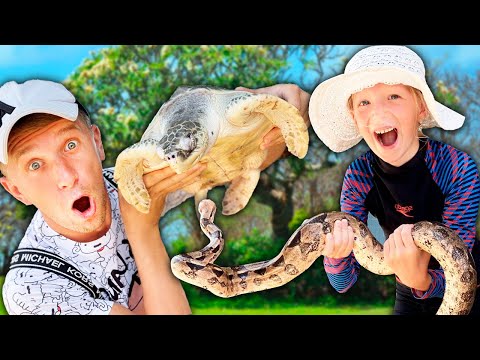 Видео: УЕХАЛИ НА ОСТРОВ ЧЕРЕПАХ! ПАПА поднимает ГИГАНТСКУЮ ЧЕРЕПАХУ! МИЛАНА ДЕРЖИТ ЗМЕЮ!!