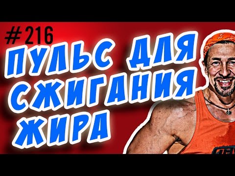 Видео: пульс для сжигания жира