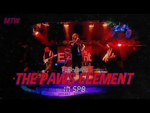 Видео: THE PAWS ELEMENT В ПИТЕРЕ! #furry #furryfandom