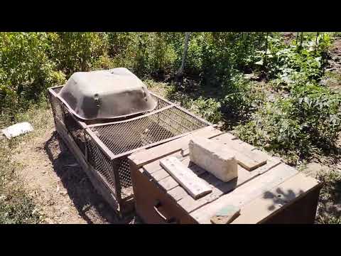 Видео: Жаңа қора жасаймыз #жаңалықтар #стройка #1 #тауык