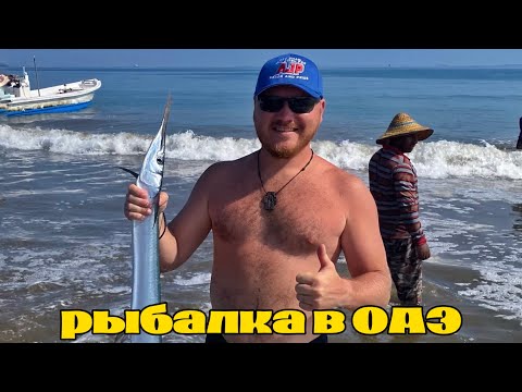 Видео: Рыбалка в Фуджейре. Рыбалка в ОАЭ. Ловля рыбы сетями в эмиратах. Ночной рыбный рынок.