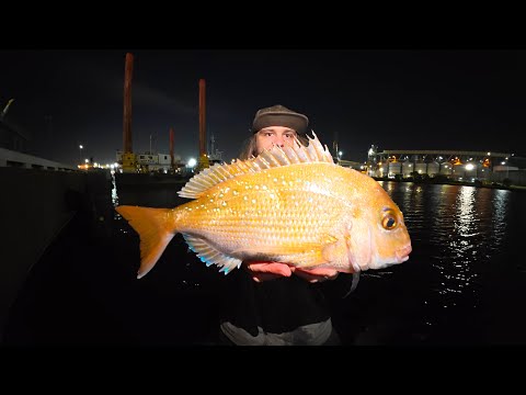 Видео: Я нашел рыбу, спрятавшуюся в лучшем городе Австралии для рыбалки!