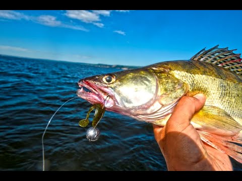 Видео: Обзор съедобной резины Sawamura OneUp Shad Slim