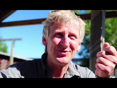 Видео: The Mysterious Art of Fishing the Hitch (Ловля лосося методом "хитч")