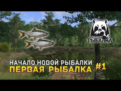 Видео: Русская рыбалка 4 #1 - Первая рыбалка (Первый Взгляд)