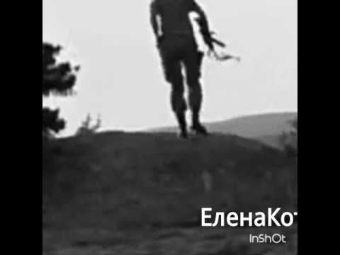 Видео: Кот и Мура "СОТРИ"