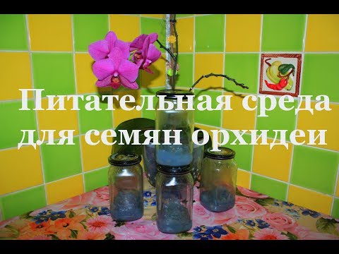 Видео: Питательная среда для семян орхидеи