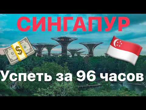 Видео: 🇸🇬 ТРАНЗИТ ЧЕРЕЗ СИНГАПУР, ВЫХОД В ГОРОД НА 96 ЧАСОВ. ЧТО НУЖНО ДЛЯ ВЪЕЗДА И ЧТО ПОСМОТРЕТЬ В ГОРОДЕ