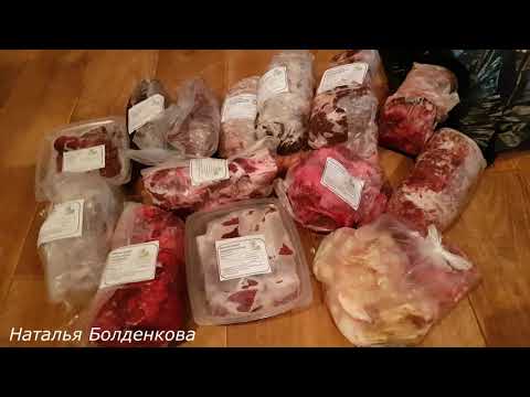 Видео: Мой алабай. Кормление щенка.