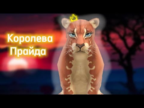 Видео: WildCraft Мини фильм «Королева прайда»