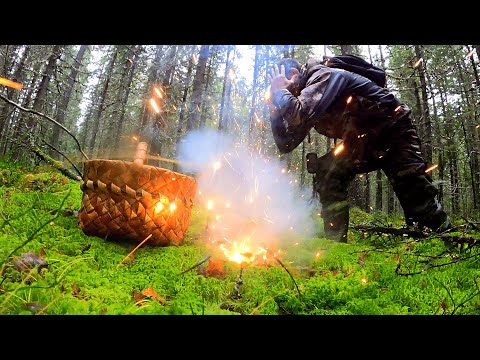 Видео: ГРИБНИК ПОШЁЛ В ЛЕС ЗА ГРИБАМИ И ОБАЛДЕЛ ТАКОГО НЕ ОЖИДАЛ! ТИХАЯ ОХОТА, НАШЁЛ И СГОТОВИЛ ГРИБЫ 2025