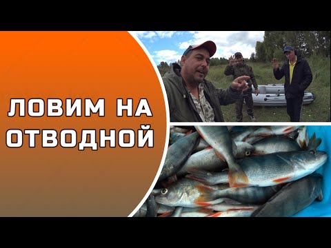 Видео: ЛОВИМ НА ОТВОДНОЙ