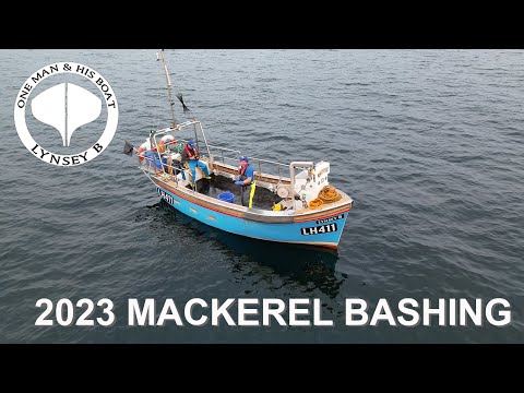 Видео: Ловля скумбрии 2023 года