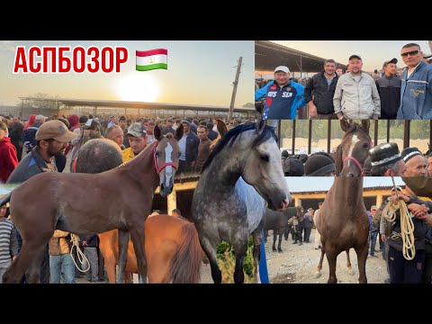 Видео: Аспбозор Спитомен 🇹🇯