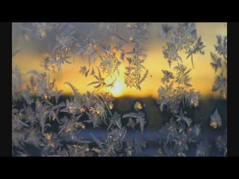 Видео: Янтарные слёзы   Тихим ручьём