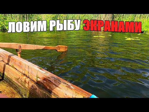 Видео: РЫБАЛКА С ЛОДКИ НА ЭКРАНЫ. Ловим рыбу на лесном озере.