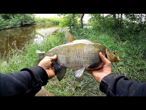 Видео: ЭТО КРУПНЯК!!! Рыбалка на поплавок на ЛЕЩА с берега. ЛОВЛЯ ЛЕЩА НА ТЕЧЕНИИ