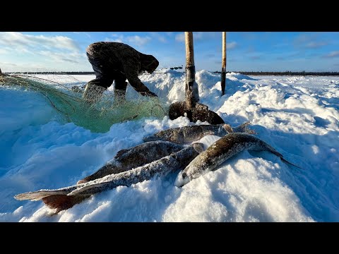 Видео: Улов Отшельника (30 лет одиночества 123 серия)