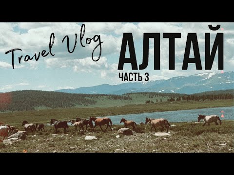 Видео: На велосипедах по Алтаю. Часть 3 (2023)