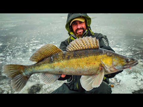 Видео: !!!!!Такого ще не було!!!! МІКРОН б'є РЕКОРДИ, ПАСИВНИЙ СУДАК ОЦІНИВ, Зимова рибалка на судака