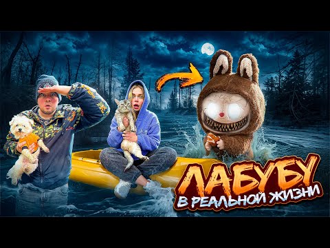 Видео: ЛАБУБА В РЕАЛЬНОЙ ЖИЗНИ | 24 ЧАСА В ЛОДКЕ С КОТОМ И СОБАКОЙ
