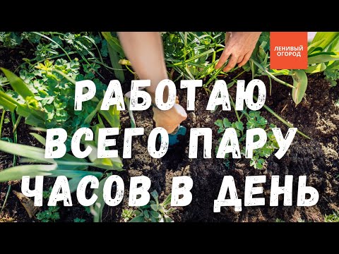 Видео: Огород без хлопот | Огородные работы НЕ более пары часов/день: перекопка, полив, прополка, подкормки