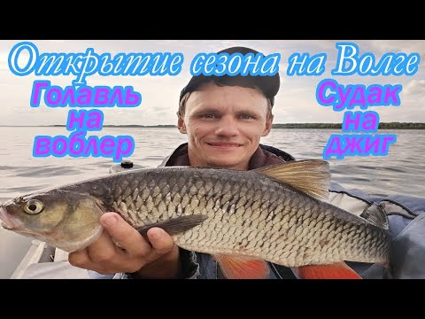Видео: ОТКРЫВАЕМ СЕЗОН ПОСЛЕ НЕРЕСТОВОГО ЗАПРЕТА/СУДАК НА ДЖИГ/ГОЛАВЛЬ НА ВОБЛЕР
