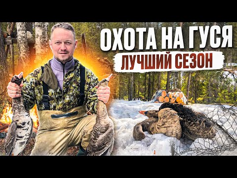 Видео: ОХОТА НА ГУСЯ // ШИКАРНЫЕ 5 ДНЕЙ НА ОЗЕРЕ // МОЯ ЛУЧШАЯ ОХОТА