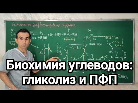 Видео: Биохимия углеводов. Гликолиз и пентозофосфатный путь.