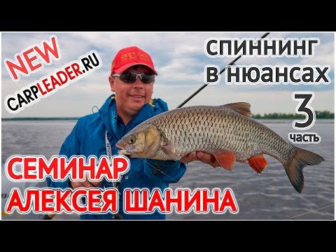 Видео: Семинар Алексея Шанина г. Москва 2019, Часть 3, Карплидер