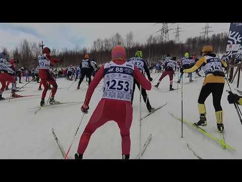 Видео: Праздник Севера 2023 - Мурманский лыжный марафон (половинка, 25 км)