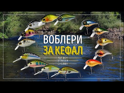 Видео: Воблери за кефал