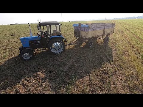 Видео: Уборка гороха НС " МОРОЗ "  2021 . Половина урожая осталась на поле . Нива СК 5